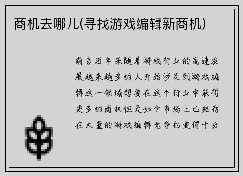 商机去哪儿(寻找游戏编辑新商机)